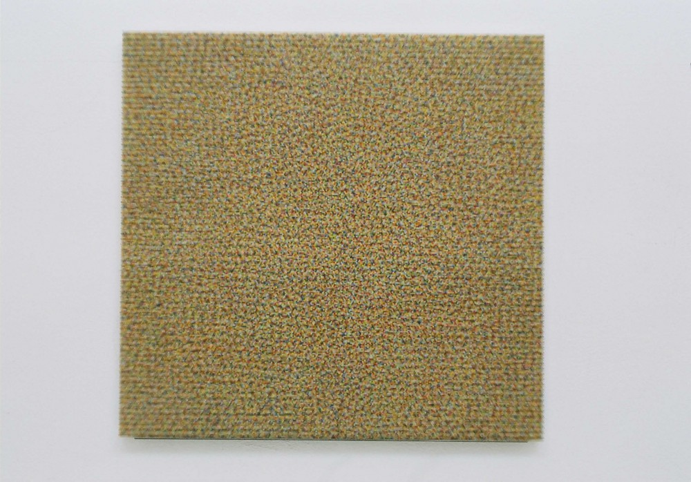Carmen Perrin
