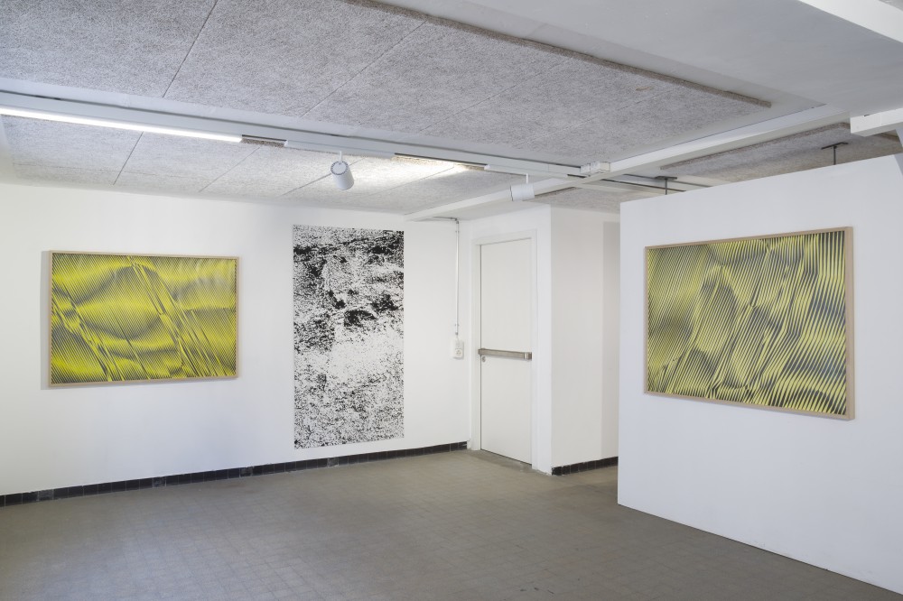 Carmen Perrin