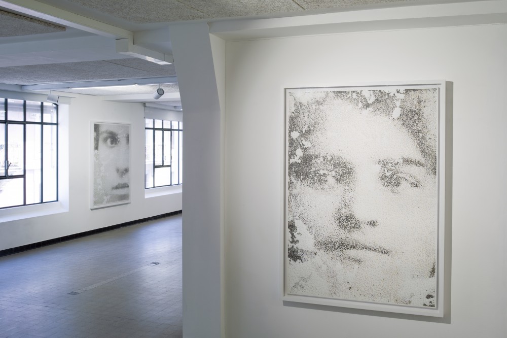 Carmen Perrin